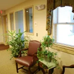 Waiting room with plants and windows